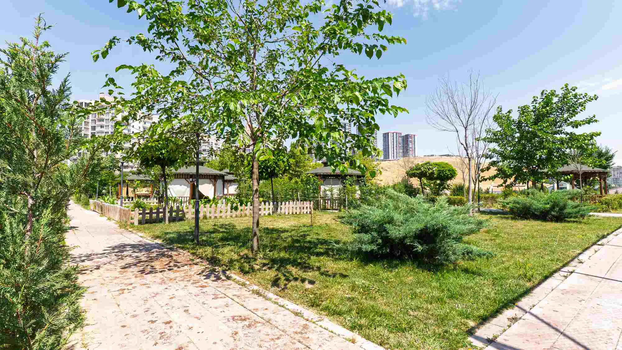 Property image 44