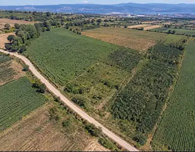 REMAX EFFECTTEN DERİNCE ÇAVUŞLUDA YATIRIMLIK 636 M2 KUPON TARLA