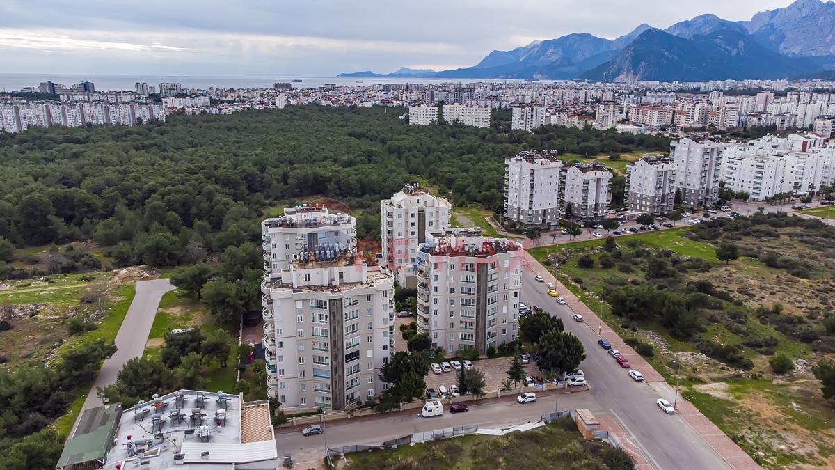 Konyaaltı Akkuyu'da Ormanın Yanı Başında Havuzlu 2+1 Daire