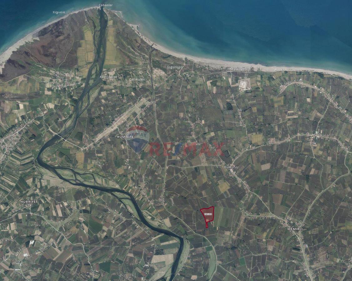 RE/MAX PARLA ALPER'DEN ÇARŞAMBA'DA EKİLİ FINDIK BAHÇESİ