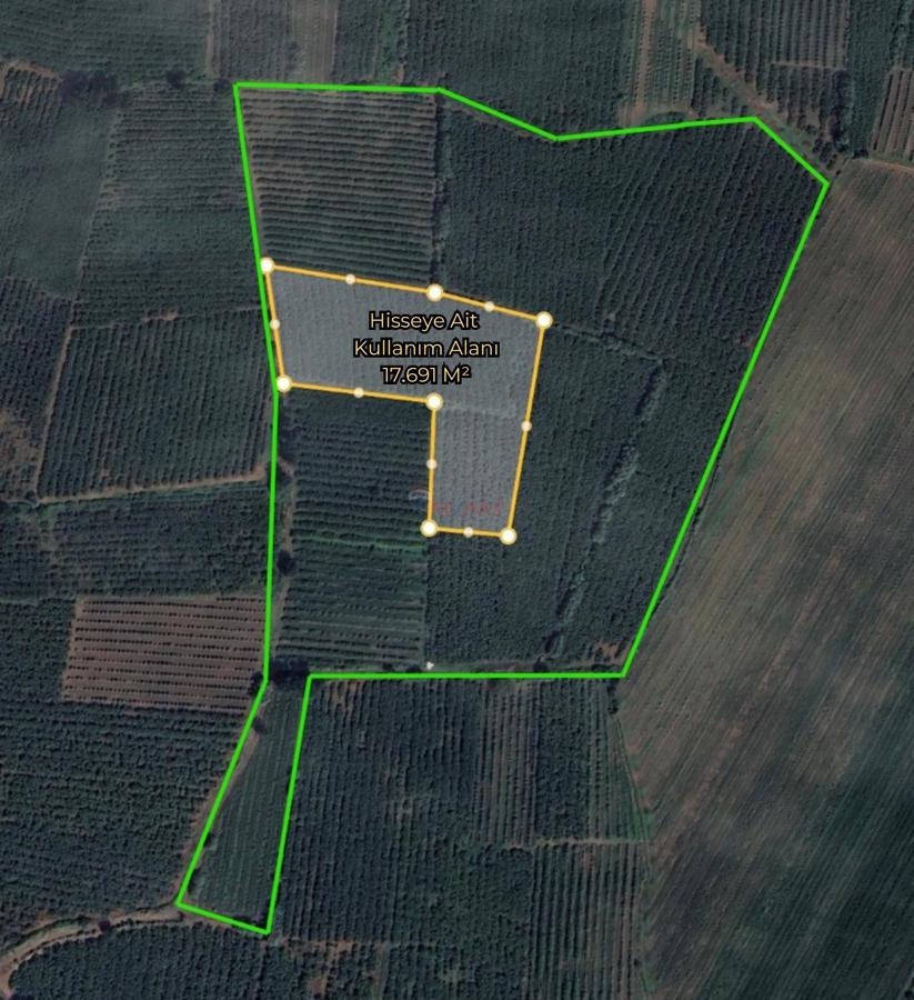 RE/MAX PARLA ALPER'DEN ÇARŞAMBA'DA EKİLİ FINDIK BAHÇESİ