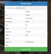 GÖLBAŞI HACILAR MAHALLESINDE FIRSAT VILLA ARSASI
