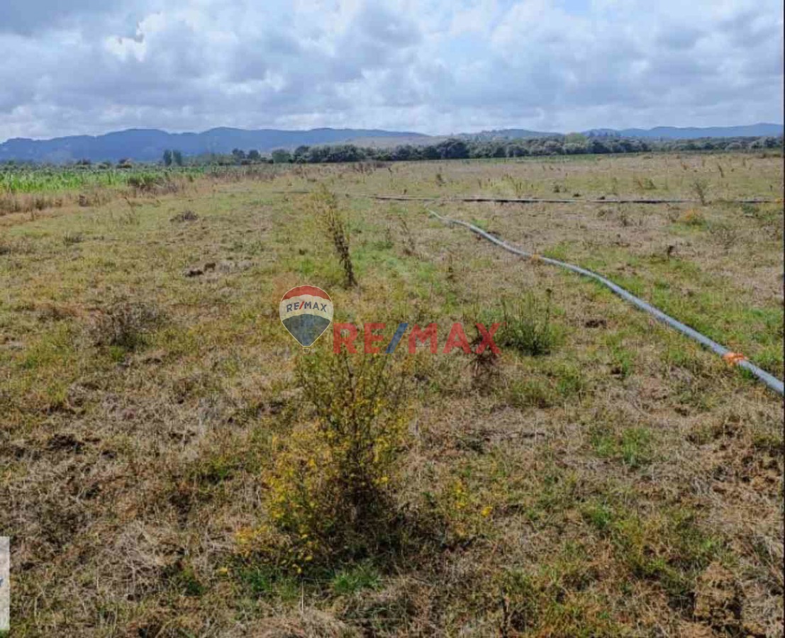 ERDAL TURAN'DAN AĞVA BUCAKLI'DA 950 M2 DÜZ ARAZI