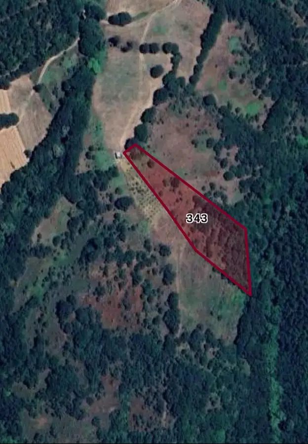 BIGA KAPANBELEN'DE 6.563 M2 SATILIK TARLA - RE/MAX DREAM
