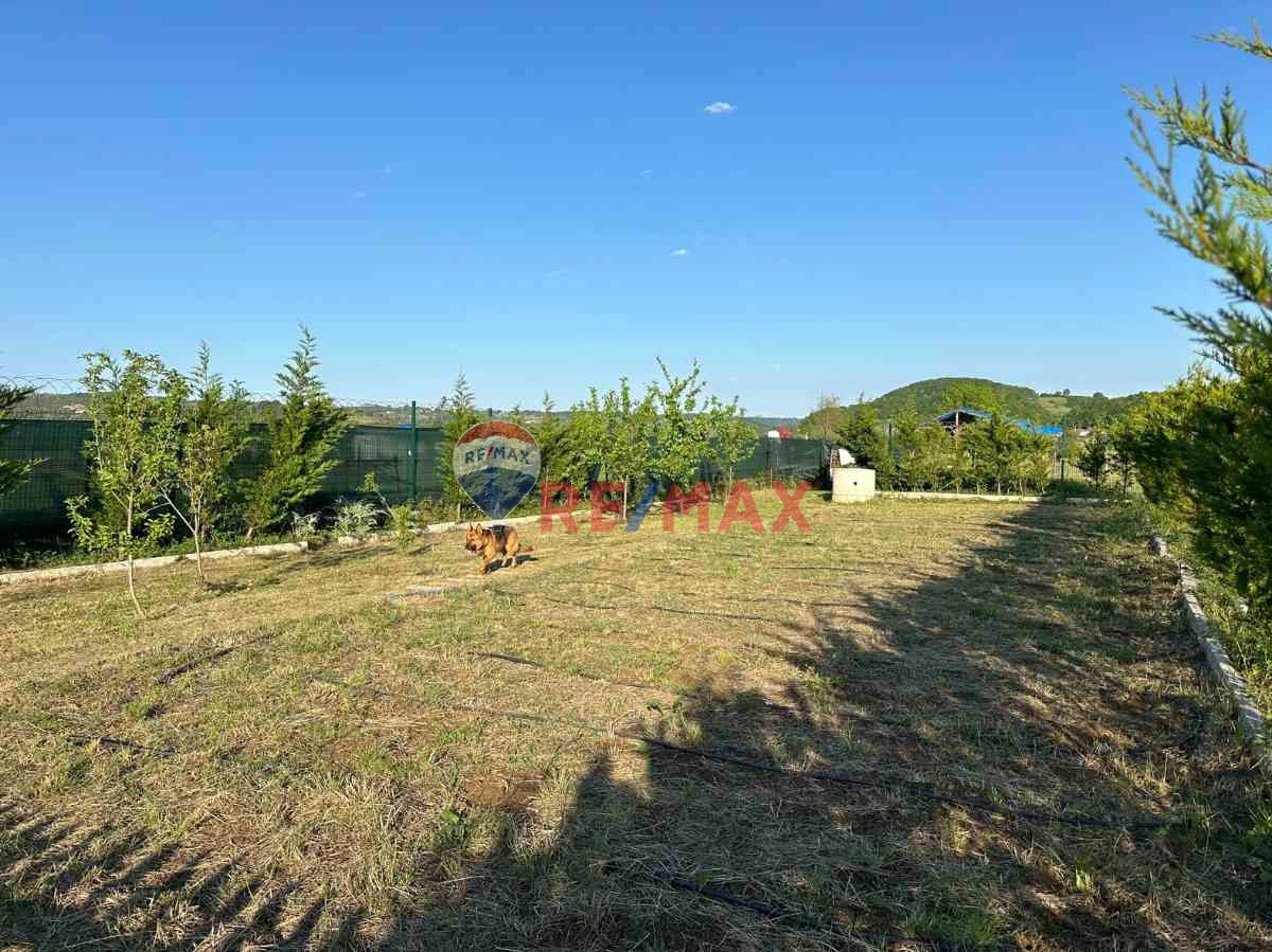 Property image 24