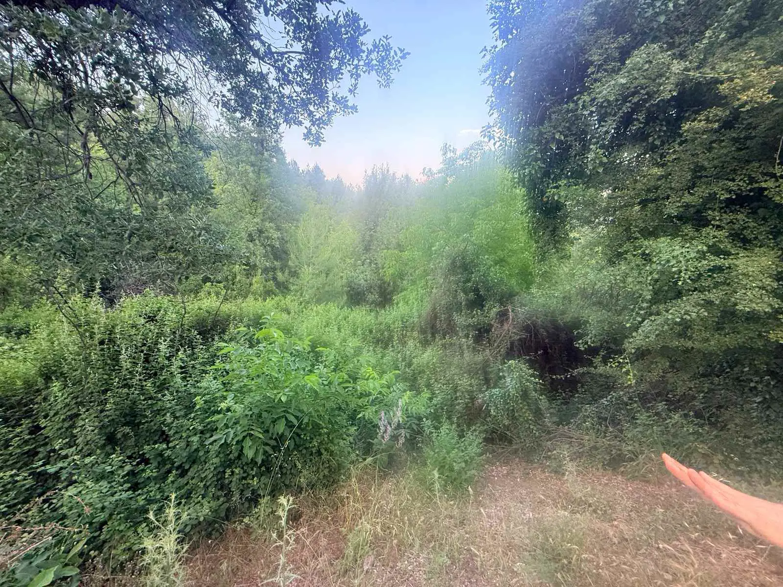 Property image 17