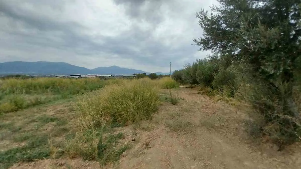 Property image 18