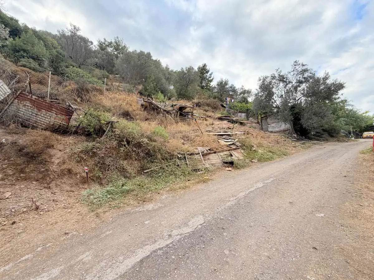Property image 18