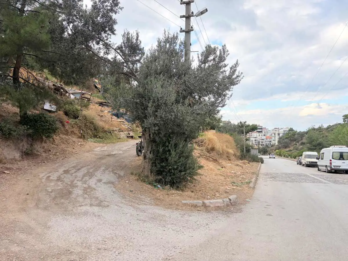 Property image 21