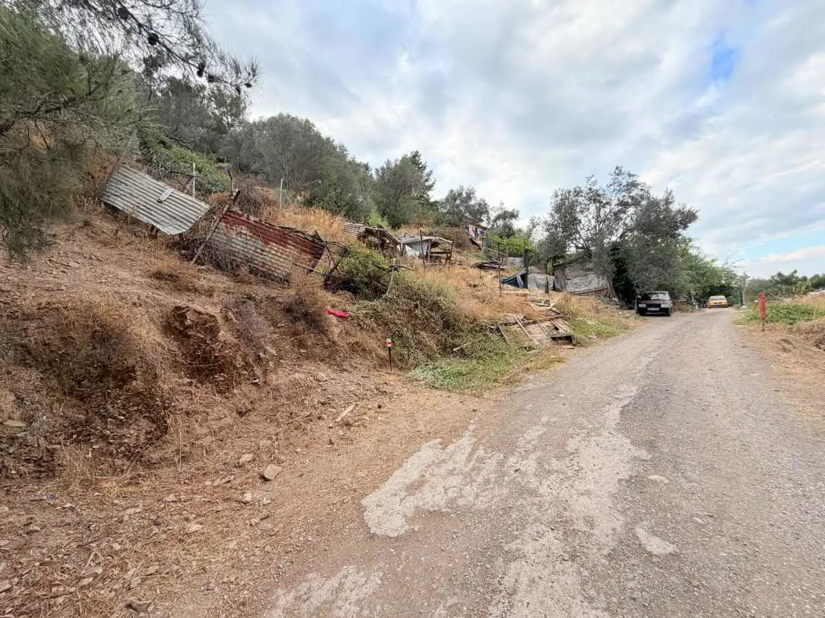 Property image 16