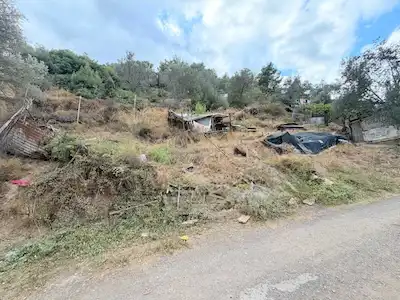 BALÇOVA TELEFERİK’TE SATILIK ZEYTİNLİK