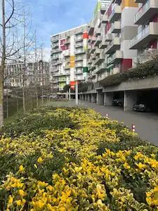 NARCİTY A ETAP’TA BÜYÜK TIP ŞEREFIYELI SATILIK ARAKAT 1+1 DAIRE 