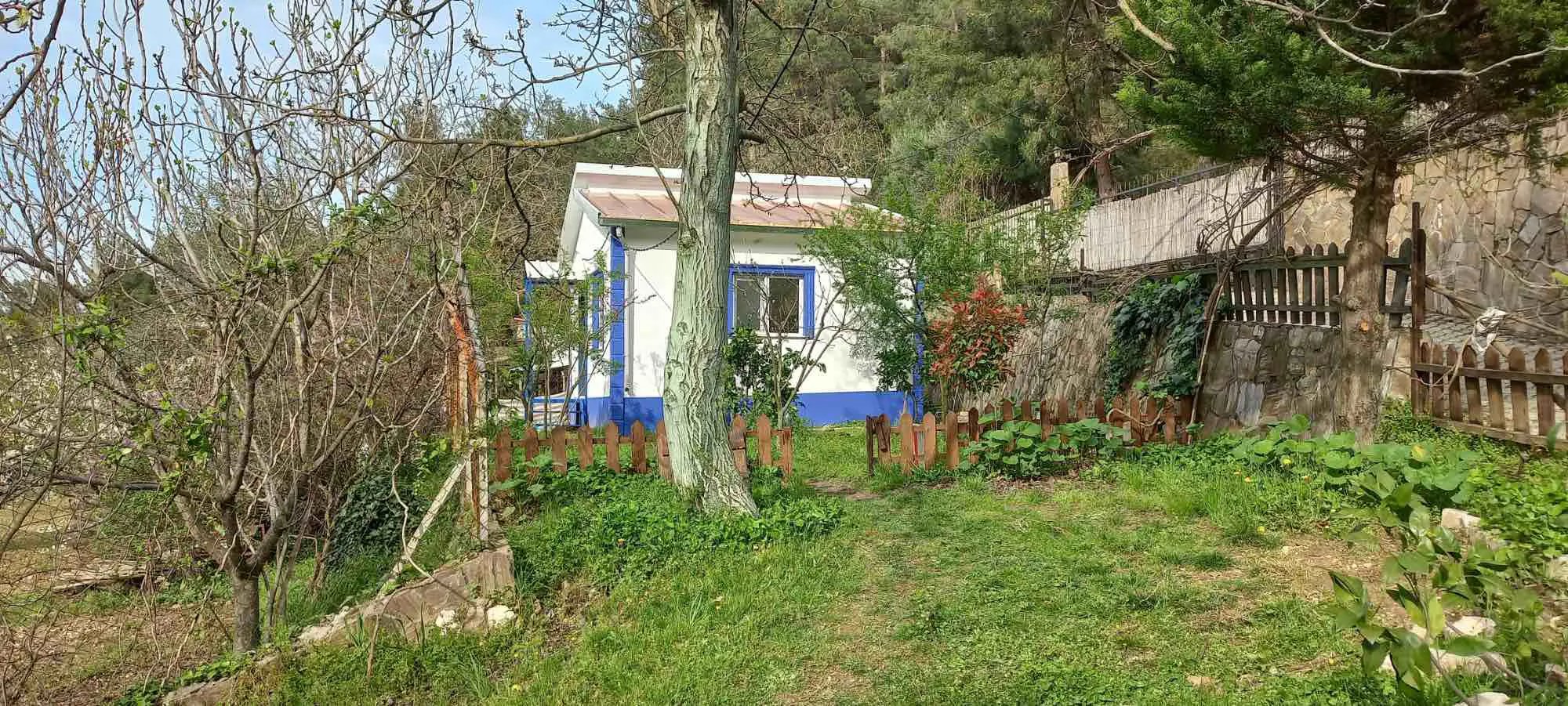 Property image 28
