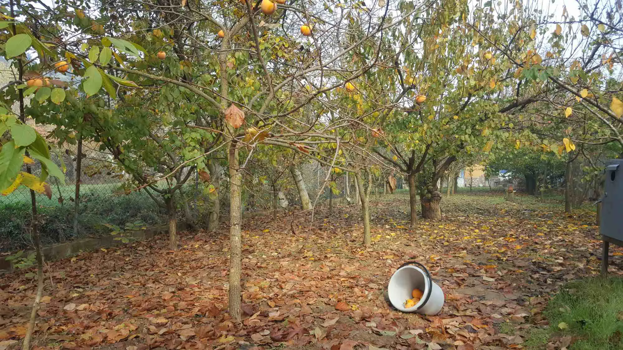 Property image 48