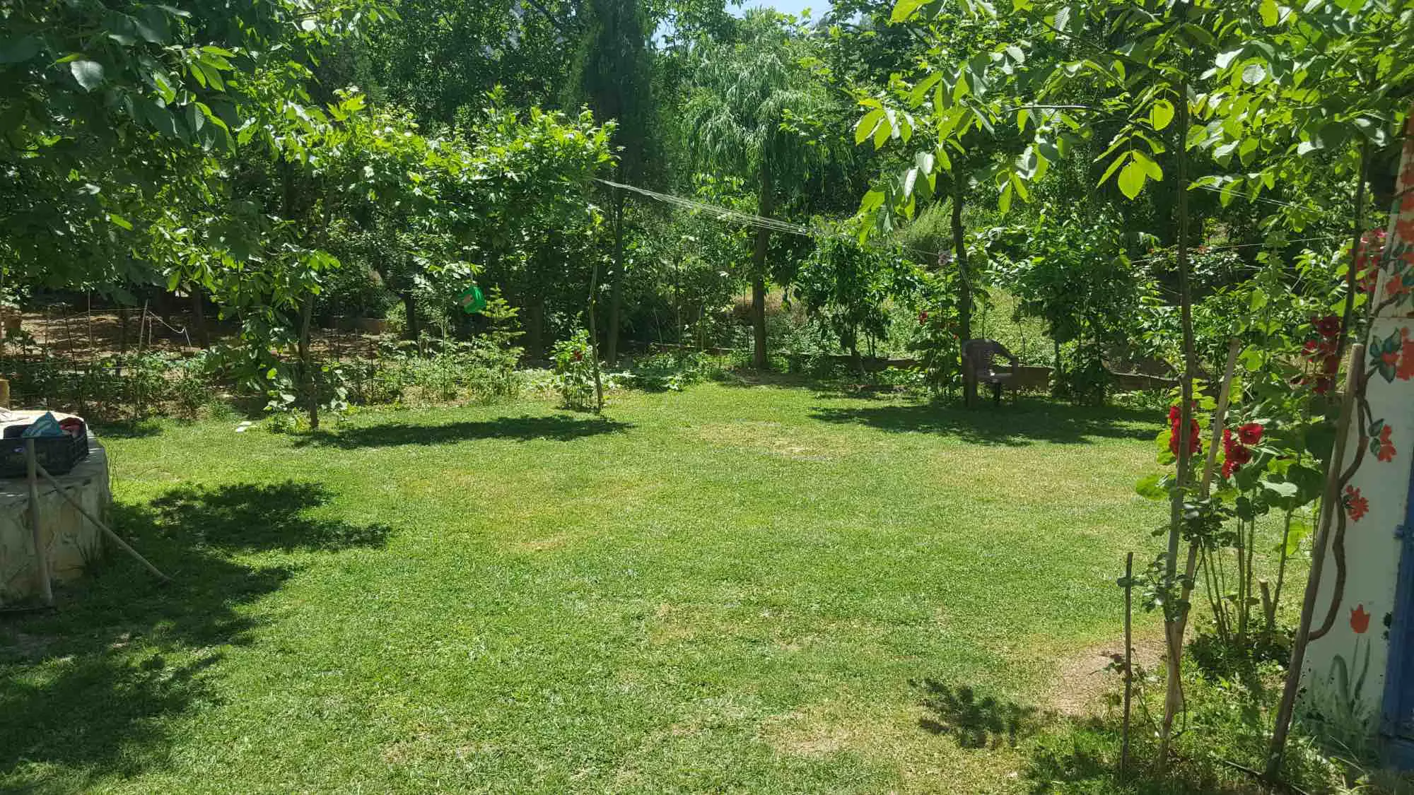 Property image 37