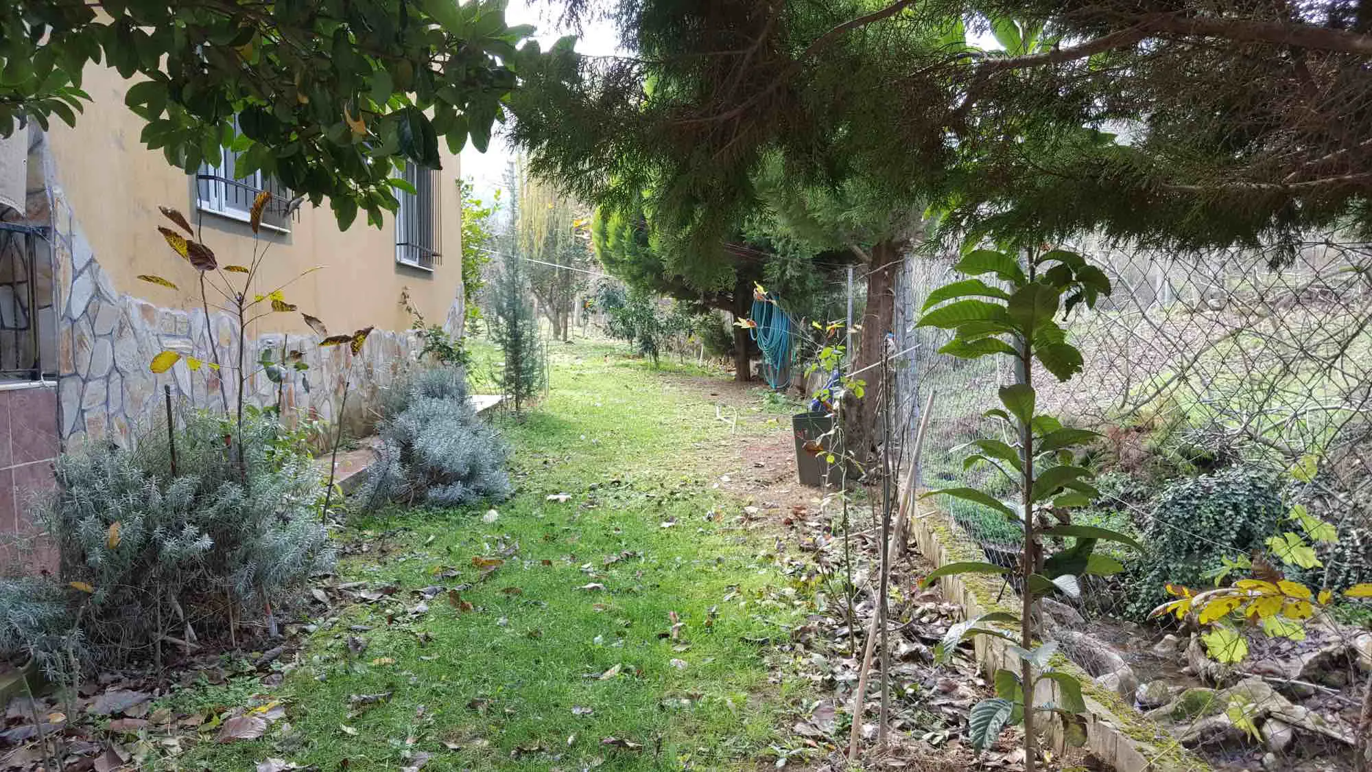 Property image 51