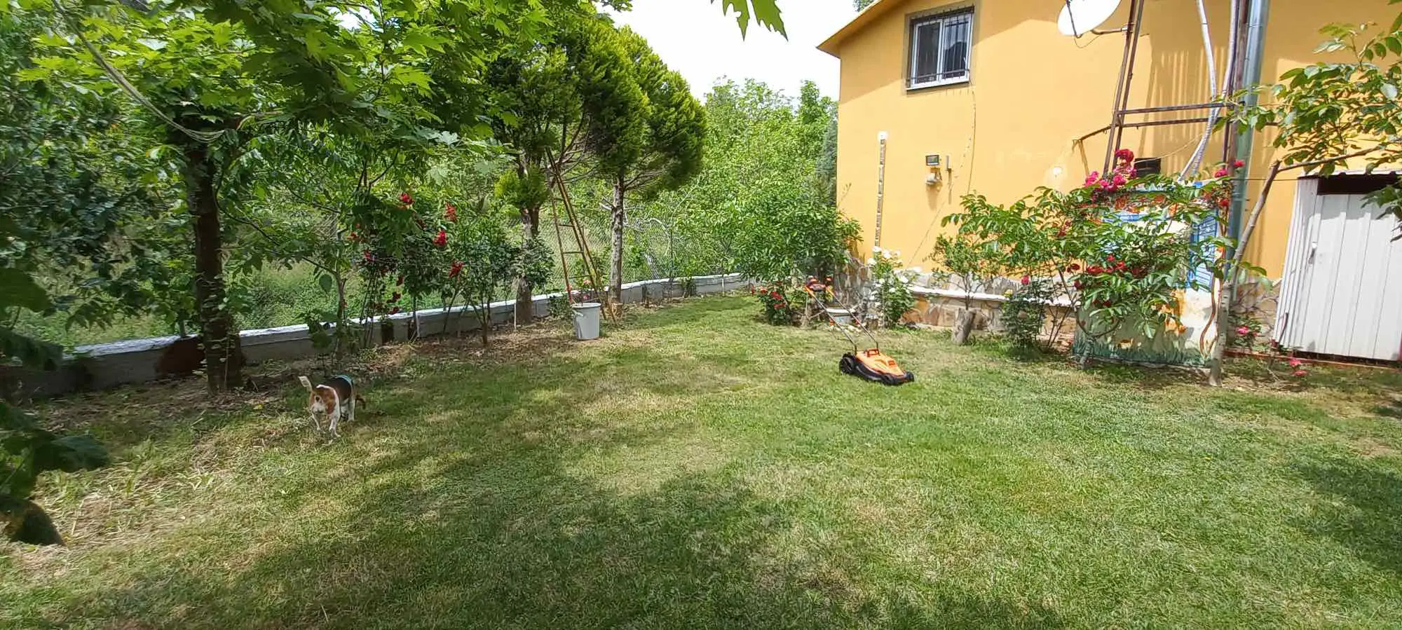 Property image 31