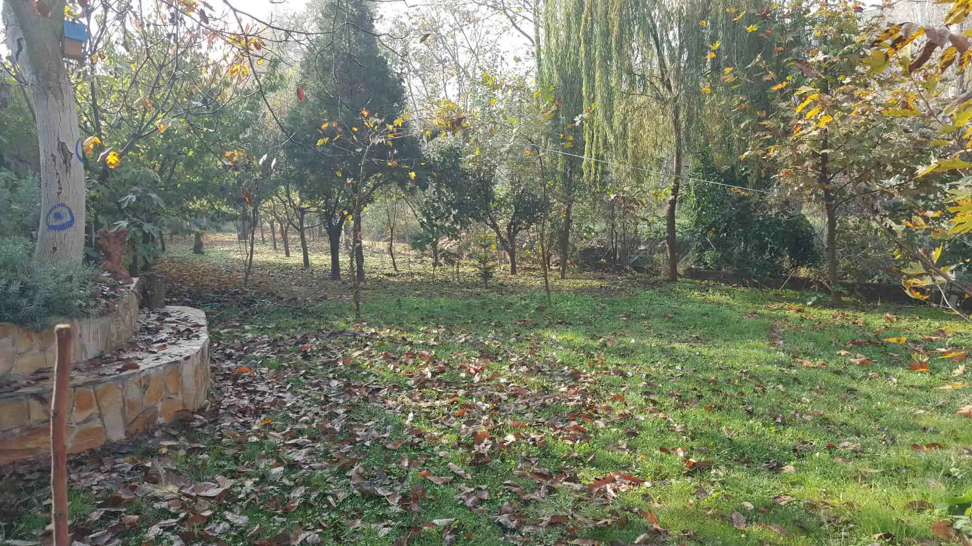 Property image 47