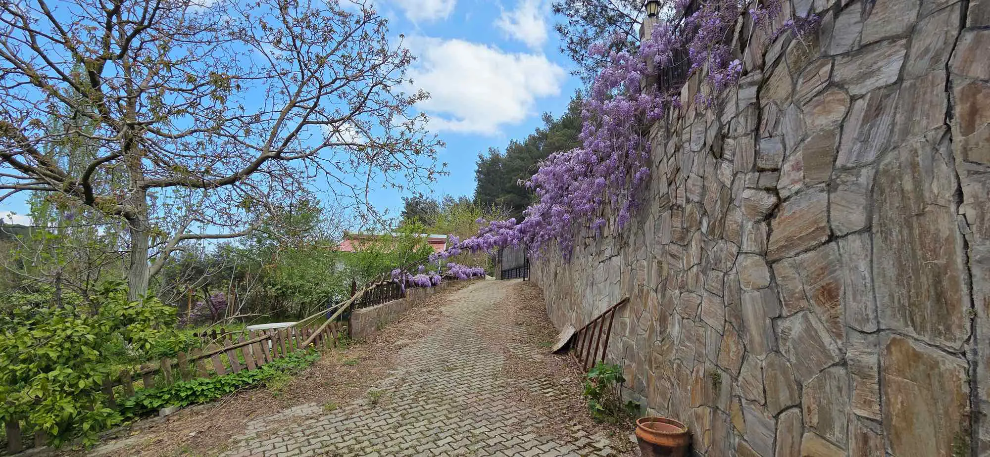 Property image 35