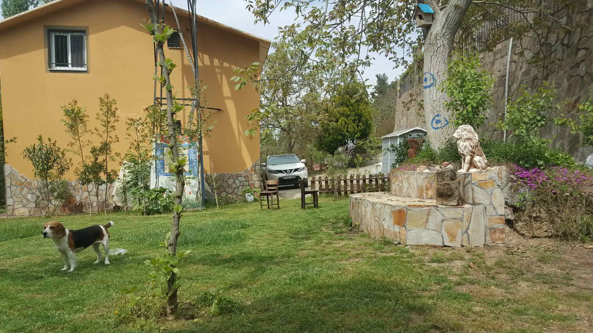 Property image 40