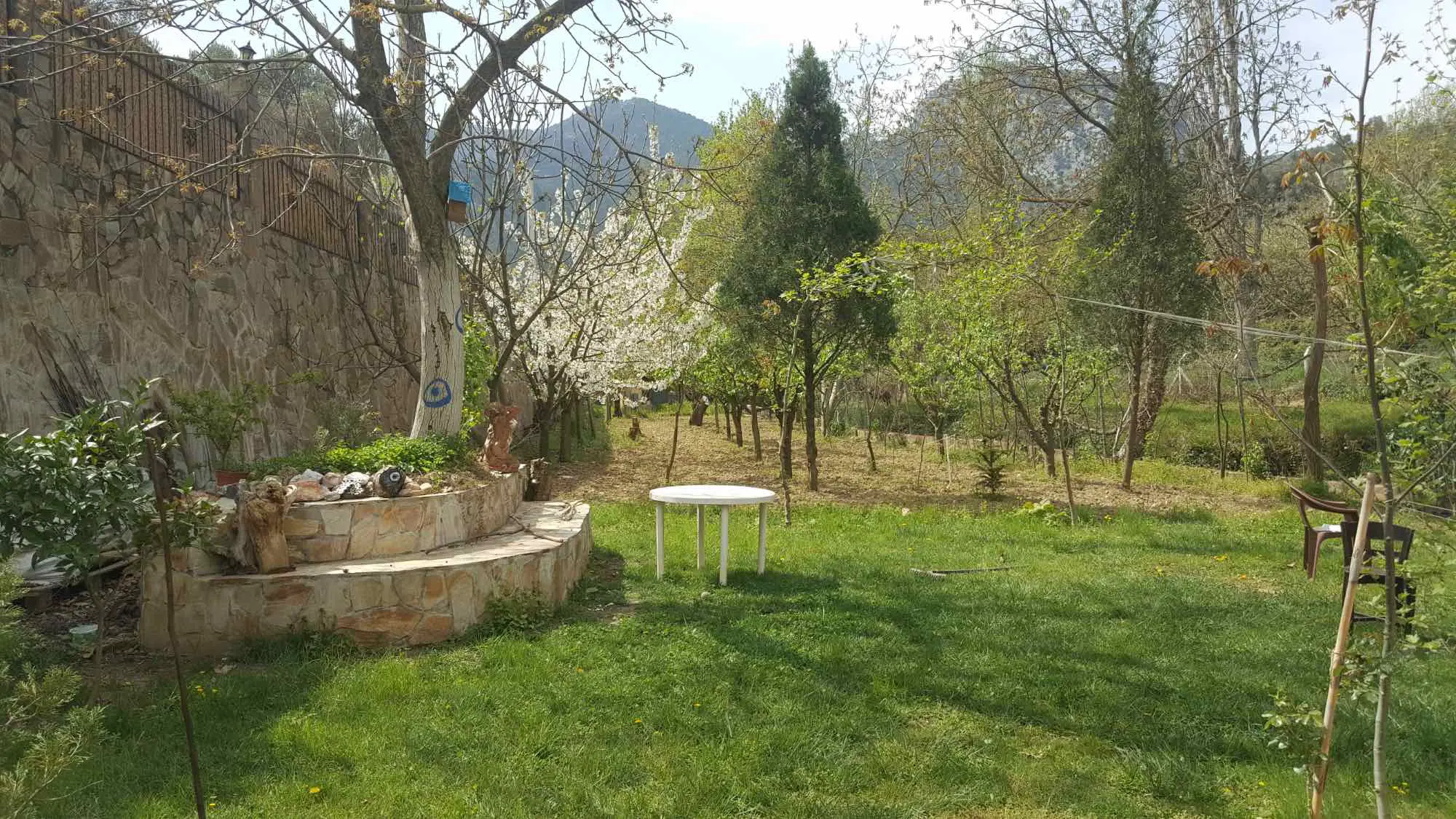 Property image 42