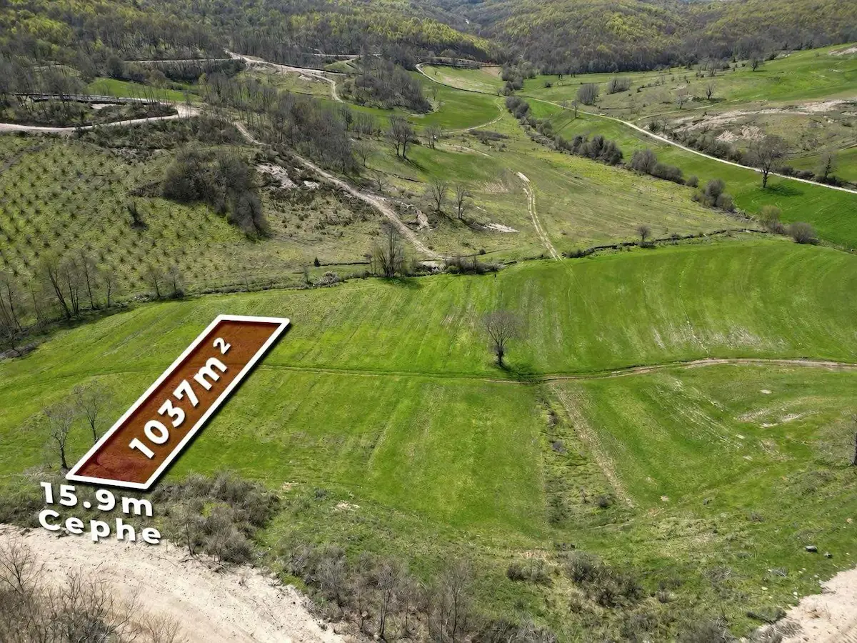 ŞİLE YAZIMANAYIR MAH. ORMAN YOLU CEPHELİ 1.037M² SATILIK TARLA