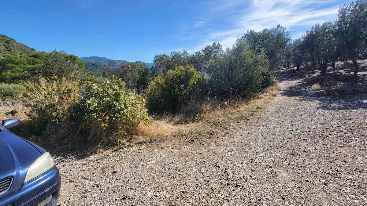 BALIKESİR HAVRAN BÜYÜKDERE’DE MÜSTAKİL PARSEL SATILIK 5759 M2 ZEYTİNLİK