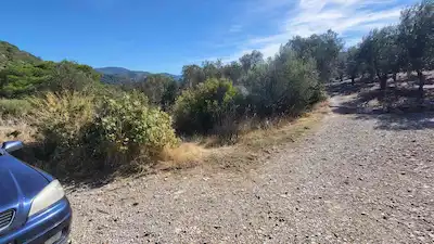 BALIKESİR HAVRAN BÜYÜKDERE’DE MÜSTAKİL PARSEL SATILIK 5759 M2 ZEYTİNLİK