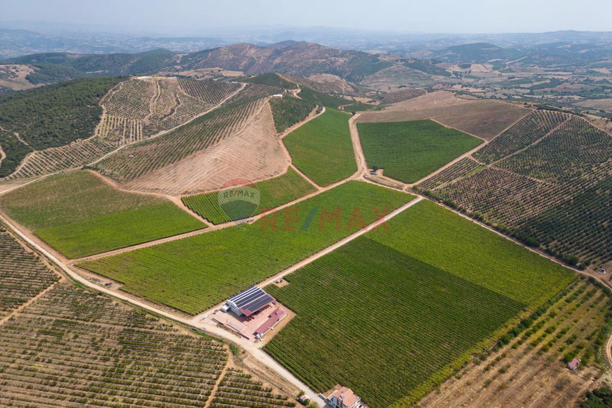 MANİSA SALİHLİ'DE SATILIK TARIMSAL ALAN 