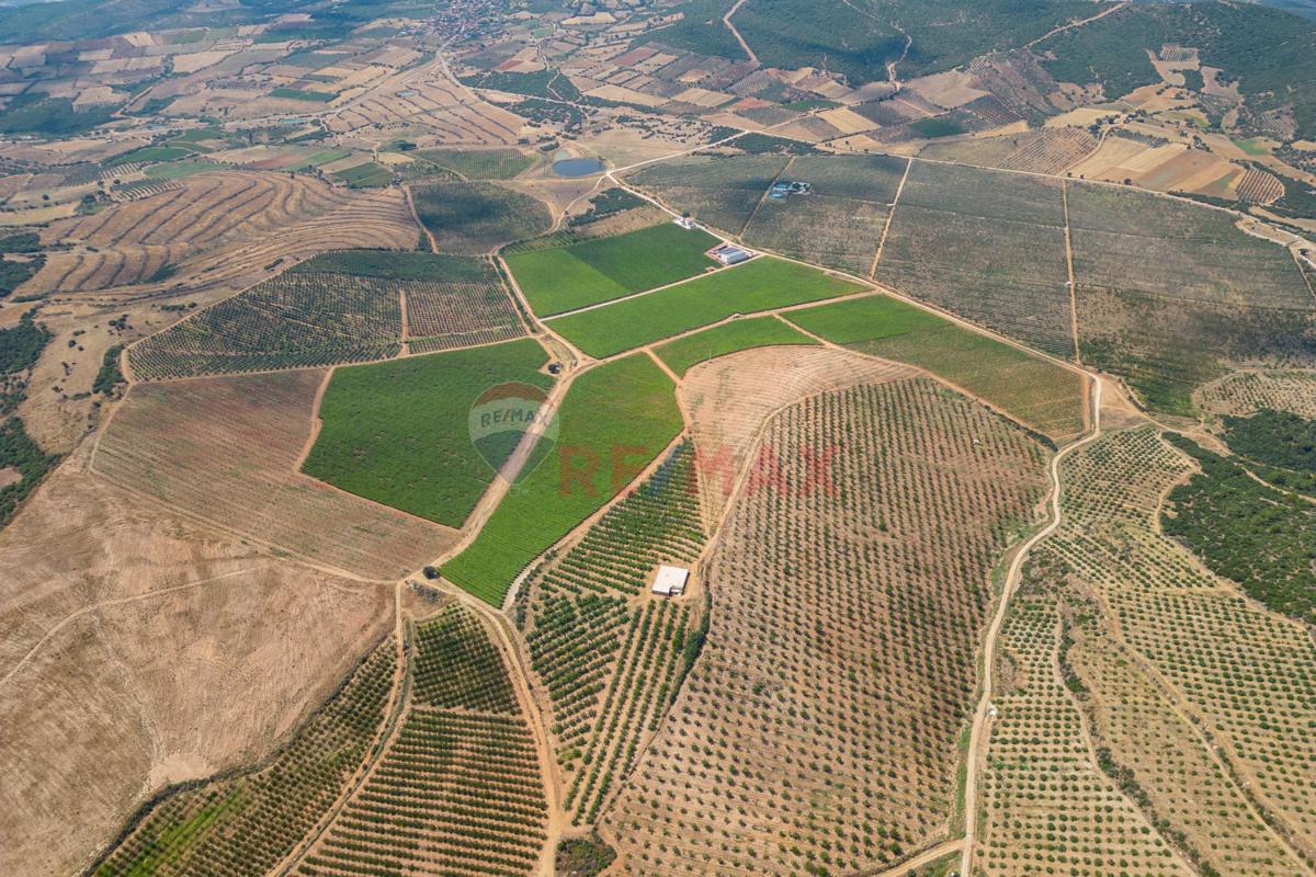 MANİSA SALİHLİ'DE SATILIK TARIMSAL ALAN 