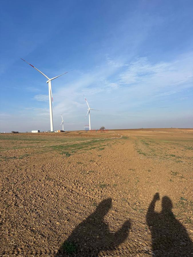 MURATLI BALABANLI'DA 4000 m² SATILIK TARLA - YATIRIM FIRSATI!