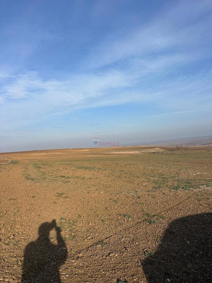 MURATLI BALABANLI'DA 4000 m² SATILIK TARLA - YATIRIM FIRSATI!
