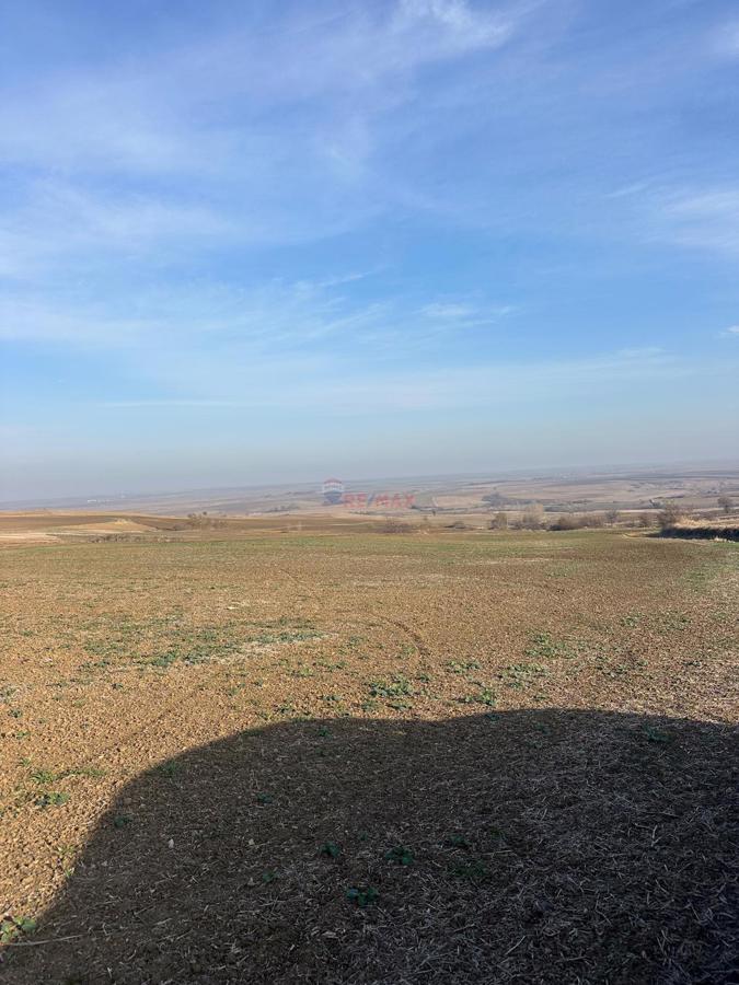 MURATLI BALABANLI'DA 4000 m² SATILIK TARLA - YATIRIM FIRSATI!