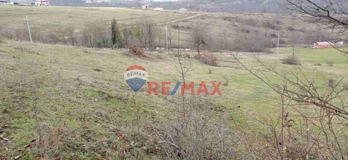 REMAX PARLA DAN SAMSUN ÇAKALLI KÖY İÇİ BAHÇEMİZ SİZ DEĞERLİYATİRMCILARİMIZIN BEĞENİSİNE SUNULUYOR.