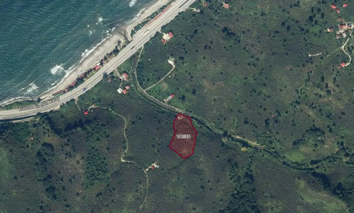  GİRESUN KEŞAP’TA YATIRIMLIK 7.063 M² VERİMLİ FINDIK BAHÇESİ