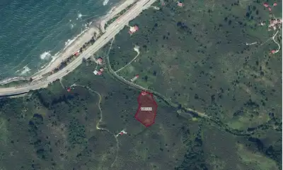 GİRESUN KEŞAP’TA YATIRIMLIK 7.063 M² VERİMLİ FINDIK BAHÇESİ