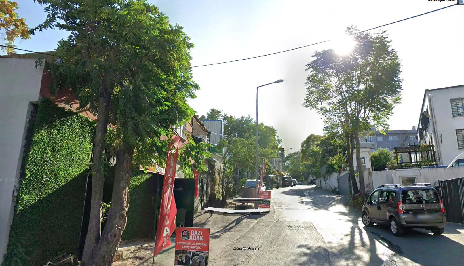 Property image 22