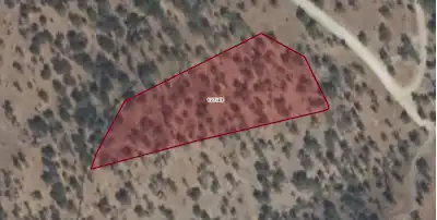 MUĞLA MİLAS – KEMİKLER MAHALLESİ’NDE SATILIK ZEYTİNLİK