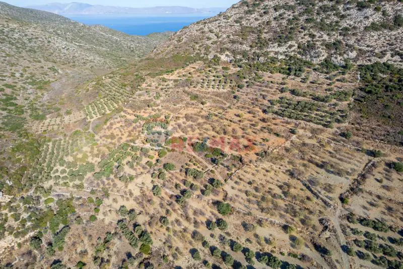 DATÇA YAZI MAH. 2659m² SATILIK BADEMLİ TARLA