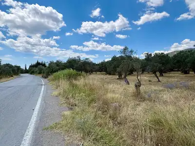 RE/MAX MAREA’DAN | YÜKSEKOKUL YANINDA, İMARA YAKIN YATIRIMLIK ZEYTİNLİK