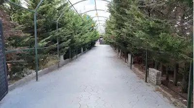  6500M2 ALAN İÇERİSİNDE DEVREN KİRALIK CAFE & RESTAURANT