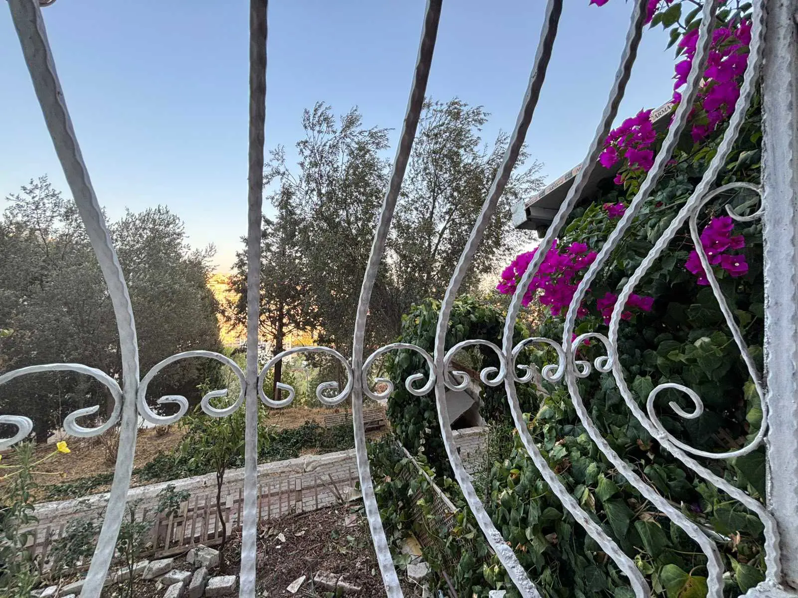 Property image 23