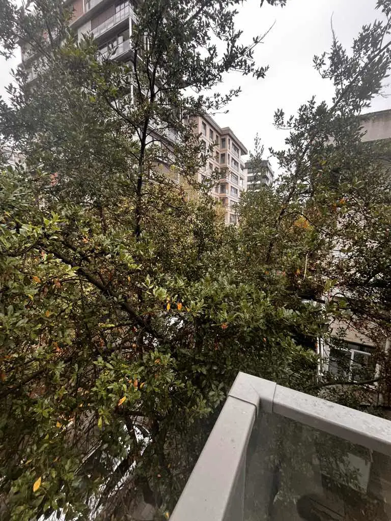 Property image 51