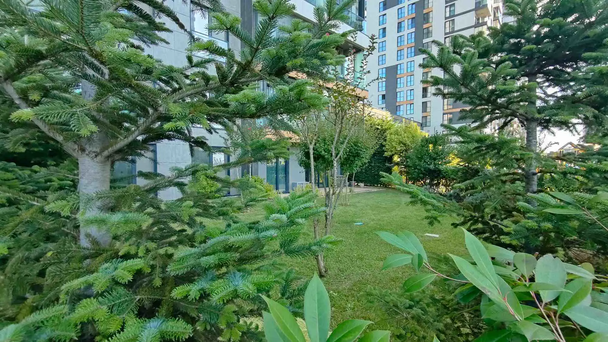 Property image 58