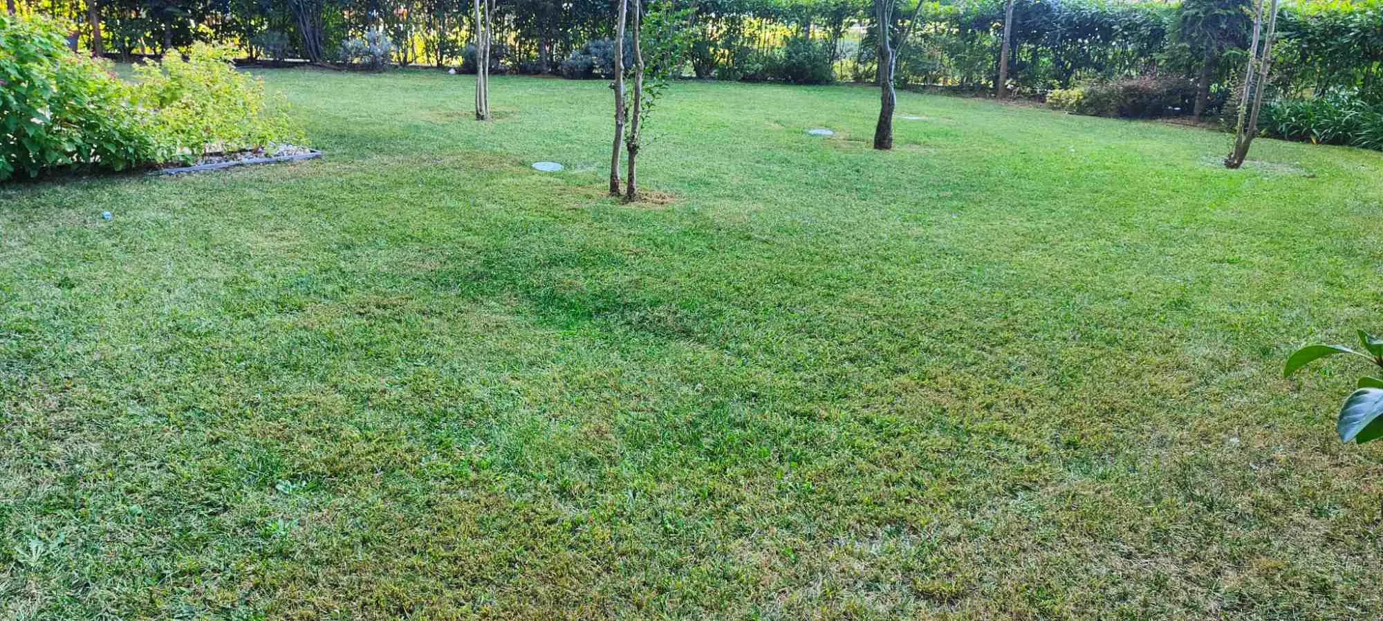 Property image 66