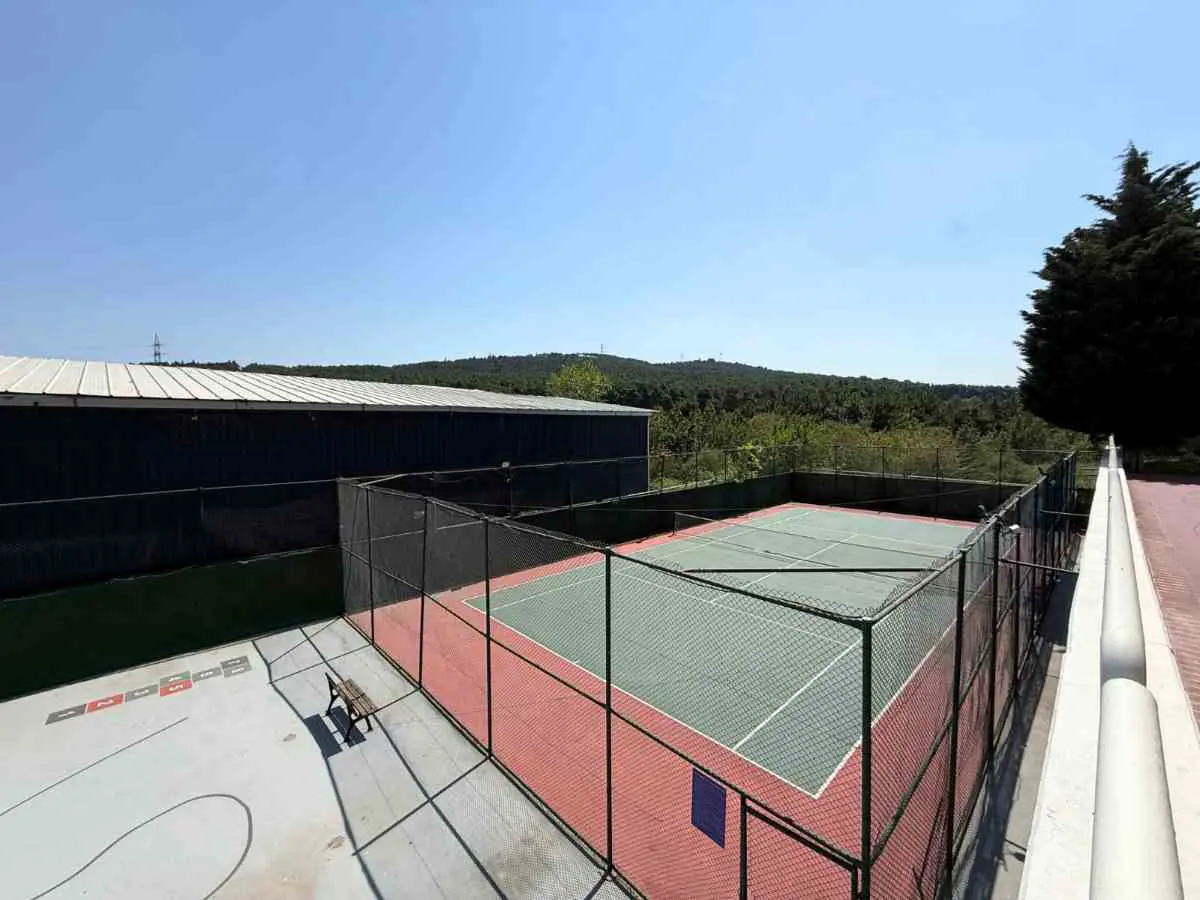 Property image 12