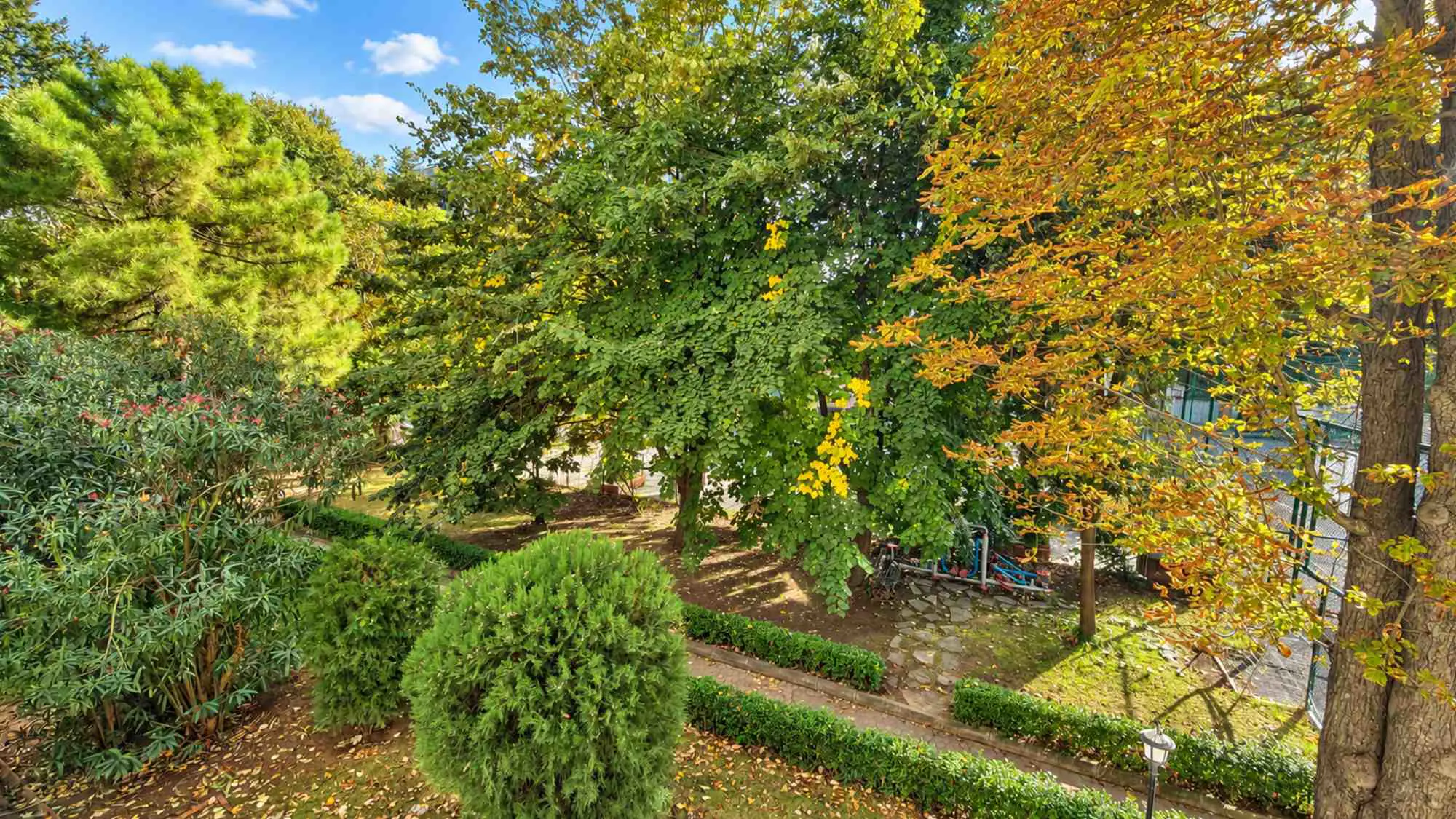 Property image 23