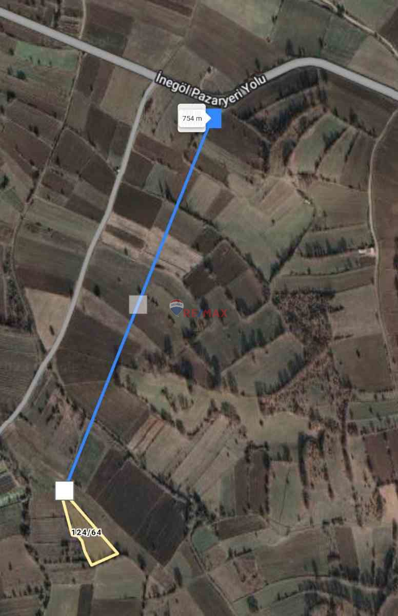 BİLECİK PAZARYERİ ARAPDEDE KÖYÜ' NDE (4.993 M2) SATILIK TARLA