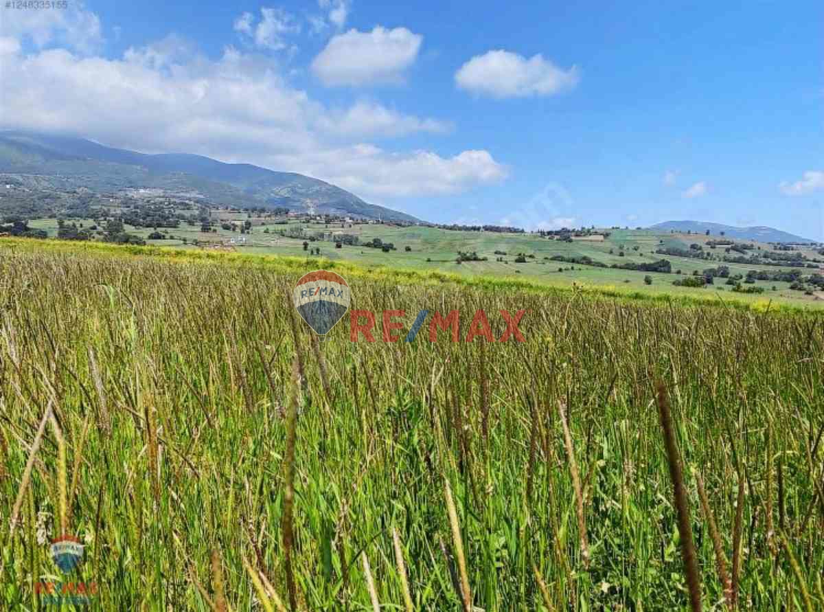 REMAX MODERN YUNUS EMRE'DEN SATILIK ÇATMAOLUK'TA TARLA