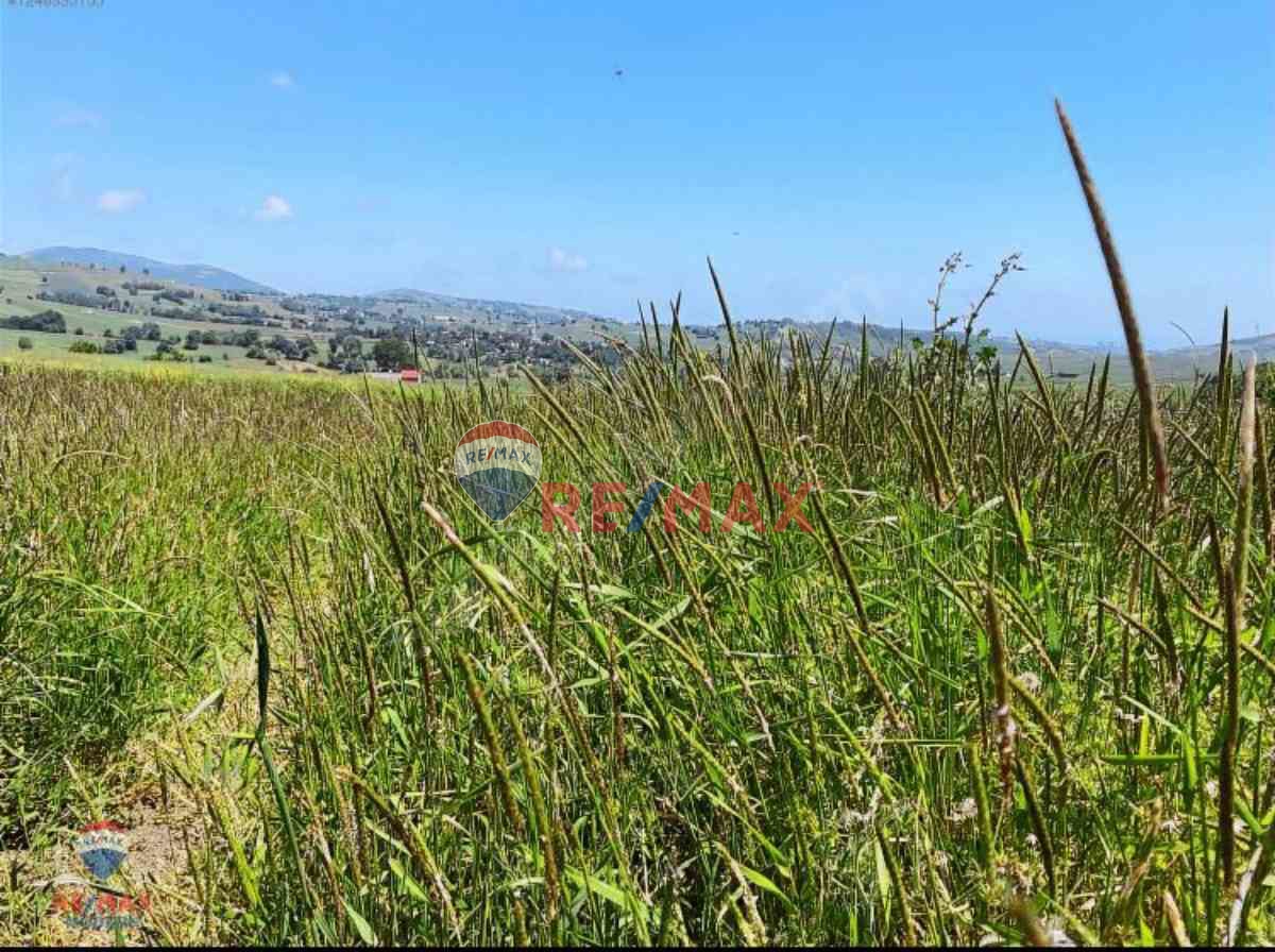 REMAX MODERN YUNUS EMRE'DEN SATILIK ÇATMAOLUK'TA TARLA